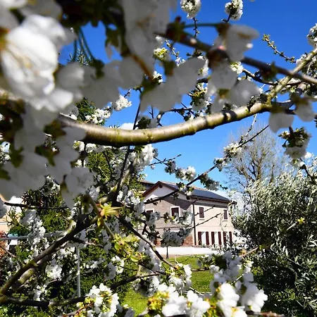 La Casa Di Graz Nocleg ze śniadaniem Reggio nell'Emilia