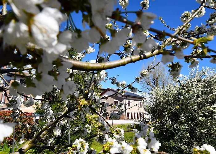 La Casa Di Graz Bed & Breakfast Reggio Emilia